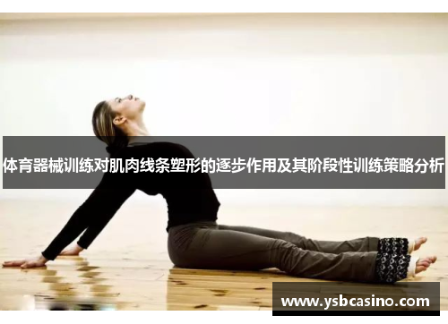 体育器械训练对肌肉线条塑形的逐步作用及其阶段性训练策略分析