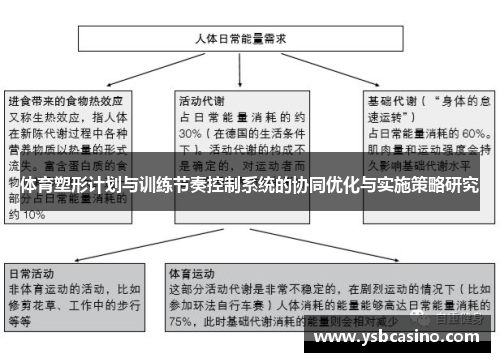 体育塑形计划与训练节奏控制系统的协同优化与实施策略研究