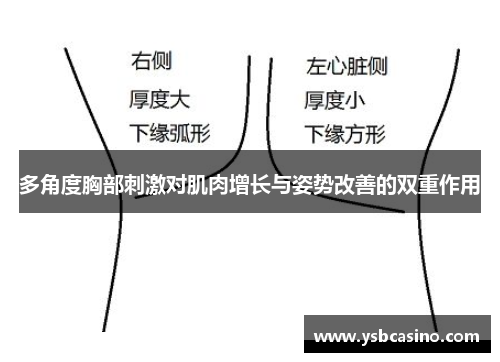 多角度胸部刺激对肌肉增长与姿势改善的双重作用