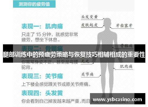 腿部训练中的预疲劳策略与恢复技巧相辅相成的重要性