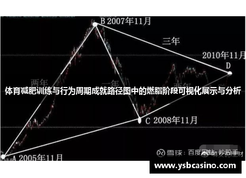 体育减肥训练与行为周期成就路径图中的燃脂阶段可视化展示与分析